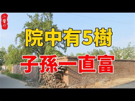 仙桃樹風水|【桃花樹風水】桃花樹風水：古代風水禁忌與現代居家桃花指南